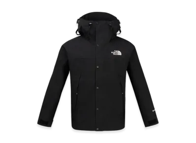 The North Face GTX Mountain Jacket - 25SS "Black"