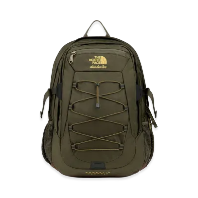 The North Face x Aime Leon Dore Borealis Backpack "New Taupe Green"