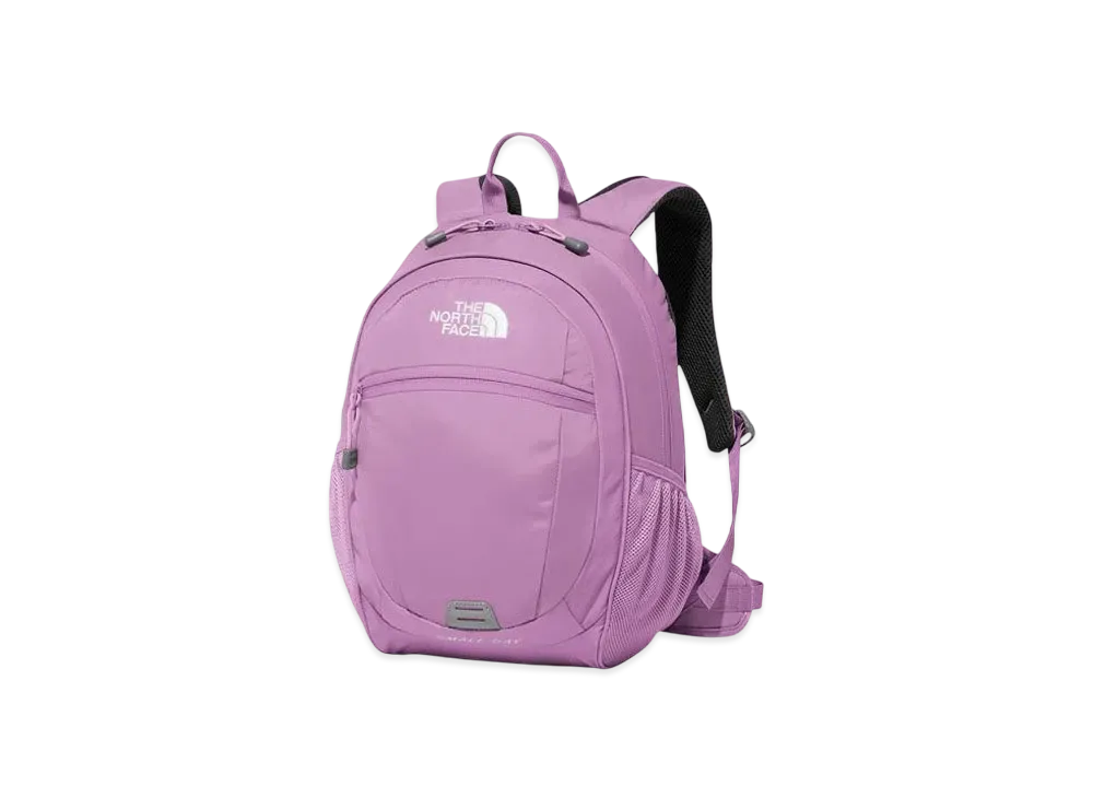 The North Face Kids Small Day "Smoky Grape"