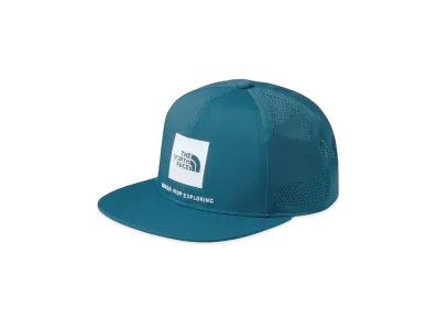 The North Face Tech Logo Cap "Blue Moss"