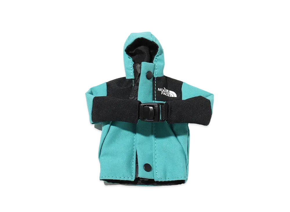 The North Face Mini Mountain Jacket "Light Blue"