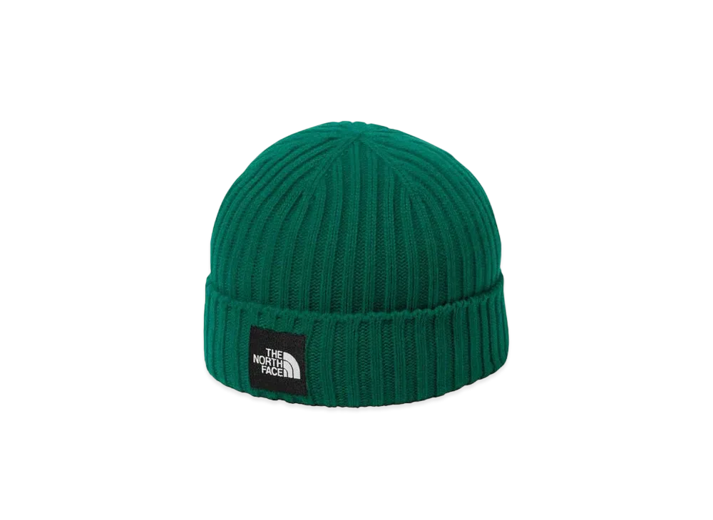 The North Face Capuccio Lid "TNF Green"