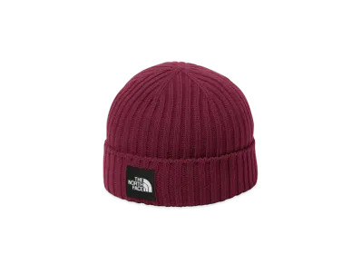The North Face Capuccio Lid "Beetroot"