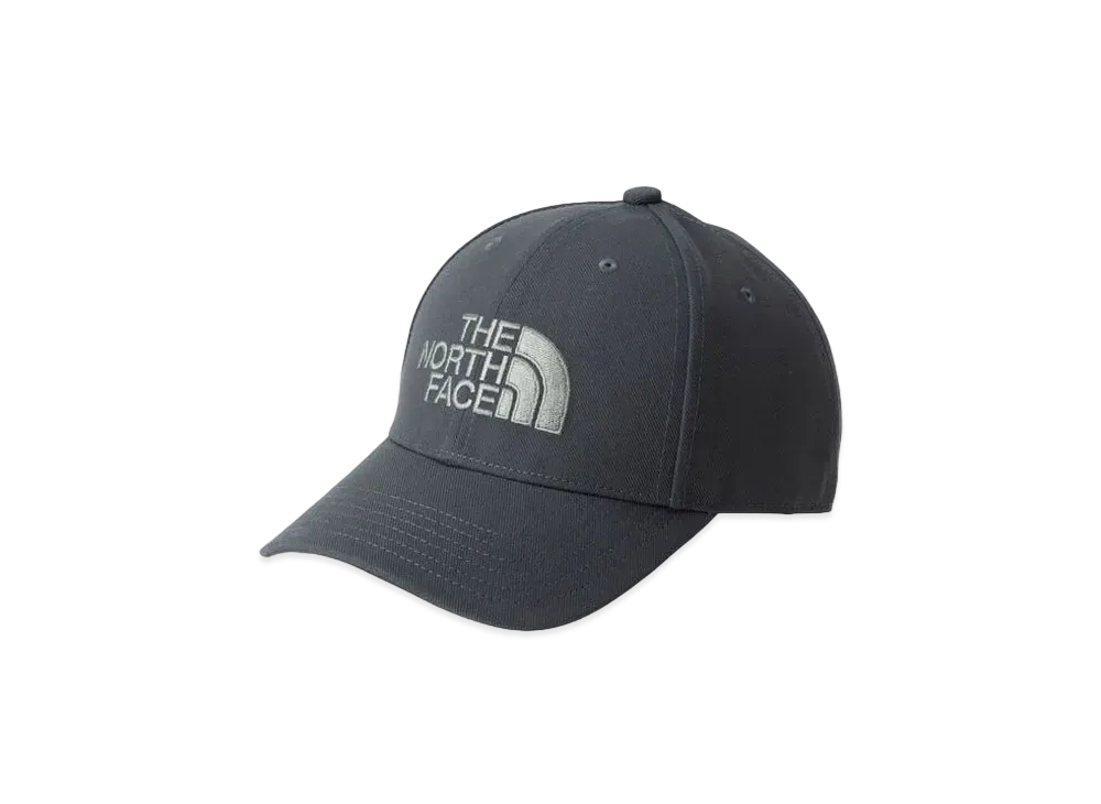 The North Face TNF Logo Cap "Asphalt Gray"