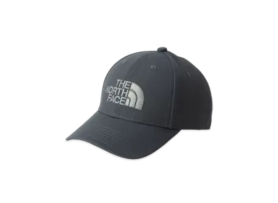 The North Face TNF Logo Cap "Asphalt Gray"