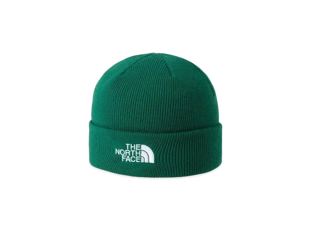 The North Face Embroidered Barred Beanie "TNF Green"
