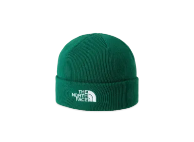 The North Face Embroidered Barred Beanie "TNF Green"