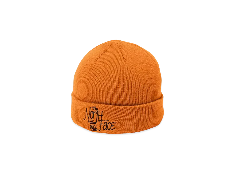 The North Face Embroidered Barred Beanie "Apricot Glaze"