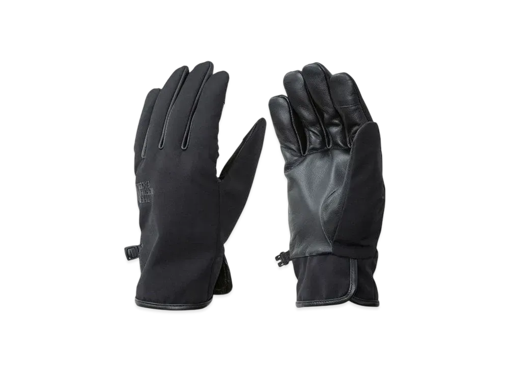 ザノースフェイス コンピレーション イーチップ グローブ "ブラック"