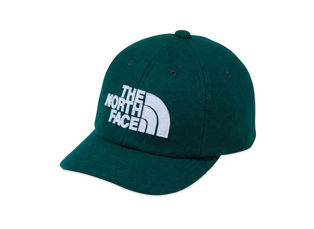 The North Face Kid's TNF Logo Flannel Cap Kids "Atlantic Deep Green"