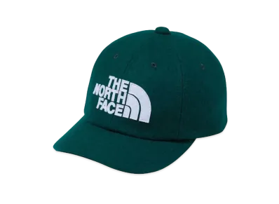 The North Face Kid's TNF Logo Flannel Cap Kids "Atlantic Deep Green"