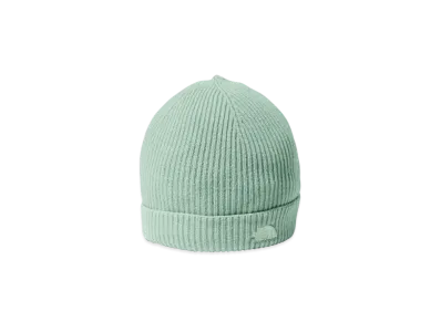 The North Face Kids Small Logo Beanie "Pale Green"