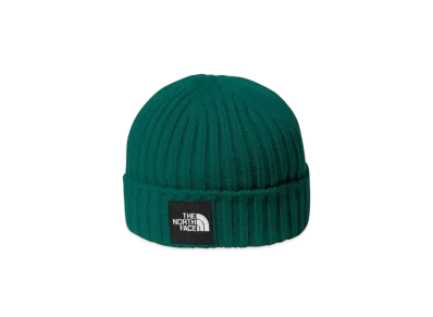The North Face Kids Capuccio lid "TNF Green"