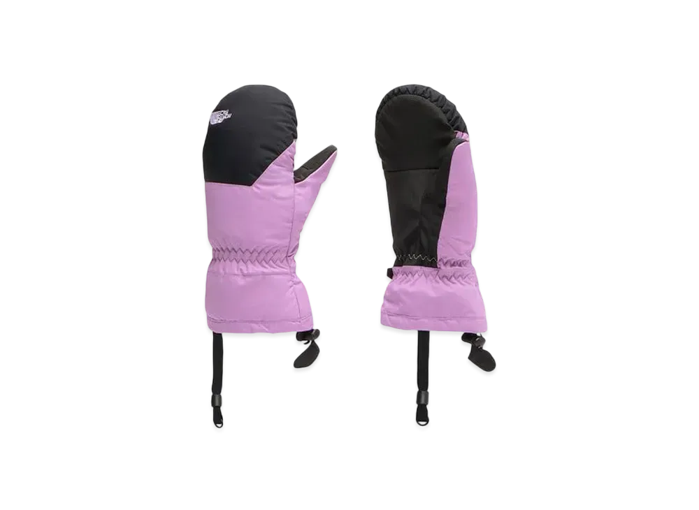 The North Face Kids Waterproof Snow Mitt "Dragon Fruit"