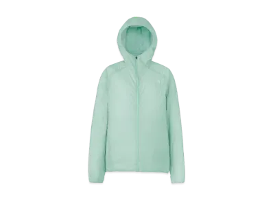 The North Face Swallowtail Vent Hoodie "Muted Pine"