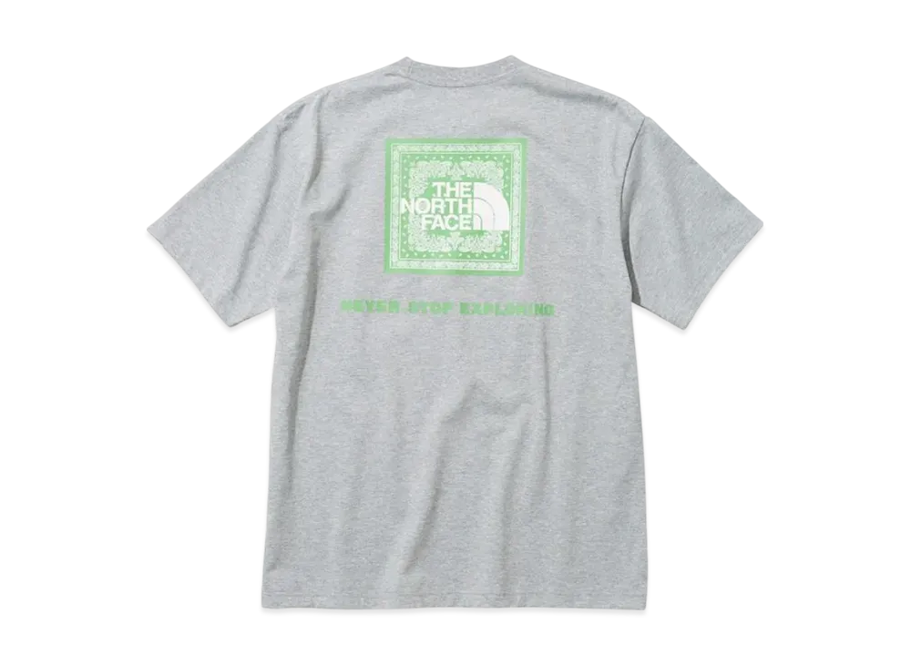 ★THE NORTH FACE★ Men's Bandana Short Sleeve T-ShirtGRAY NT 613kFe3JBhL._AC_SY500_.jpg