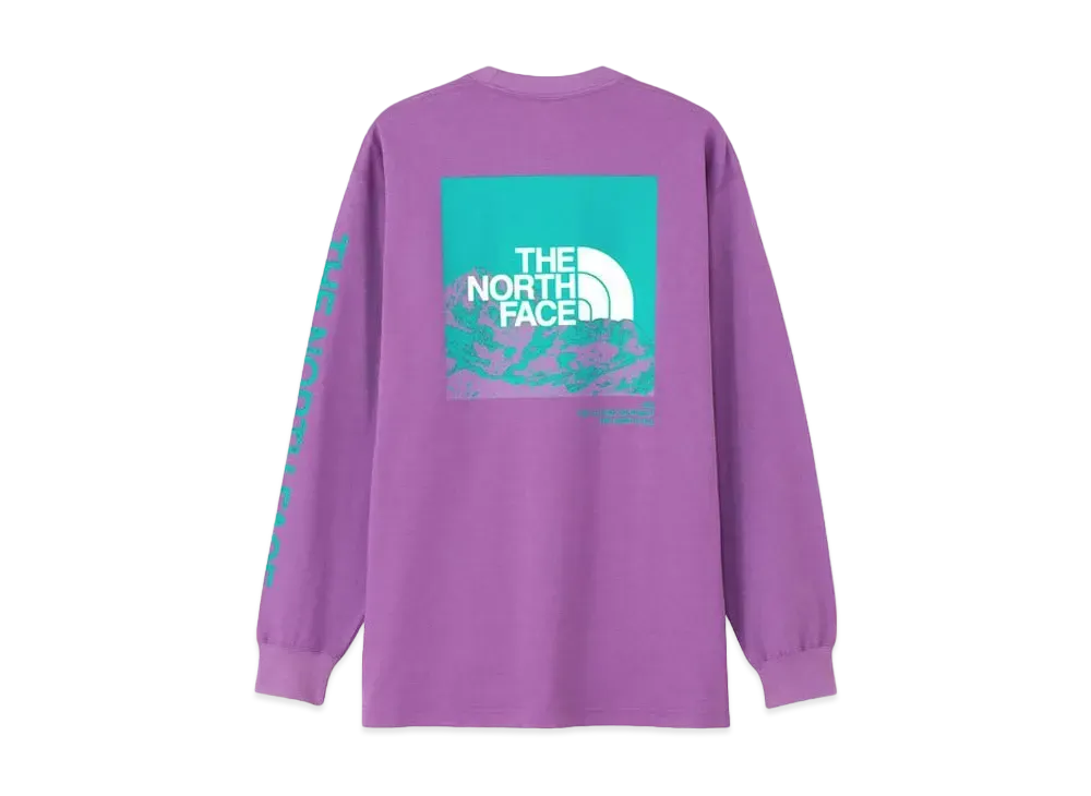 The North Face Long Sleeve Sleeve Graphic Tee "Aubagene"