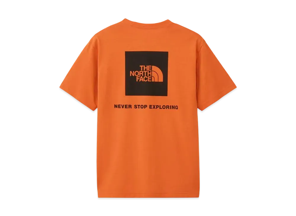 The North Face Short Sleeve Back Square Logo Tee "Iron Bronze"