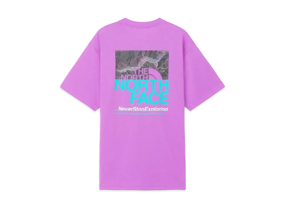 The North Face Short Sleeve Half Switching Logo Tee "Aubergine"