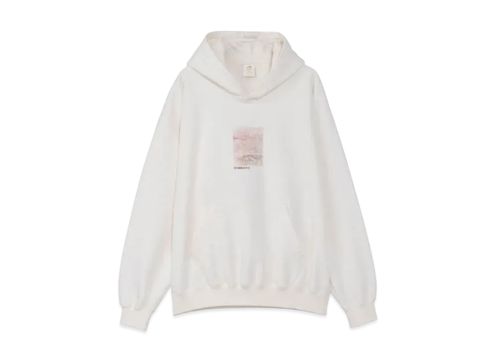 The North Face x Sam Falls Brewed Protein Symbiotic Sweat Hoodie "Natural"