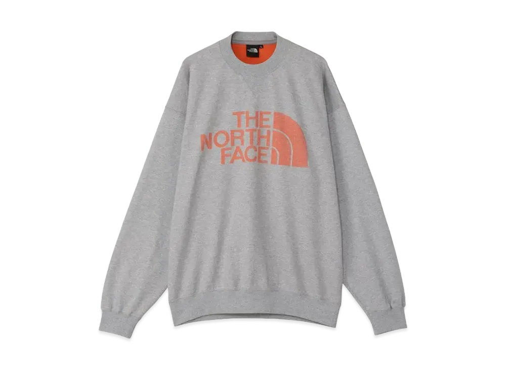 The North Face Jacquard Half Dome Crew "Mix Gray"