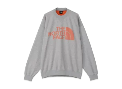 The North Face Jacquard Half Dome Crew "Mix Gray"