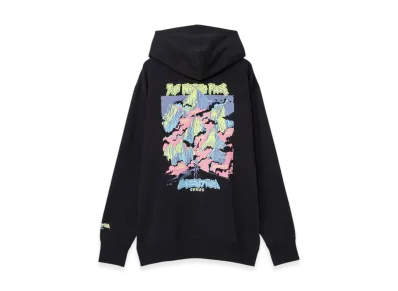 The North Face Expedition Graphic Hoodie "Black"