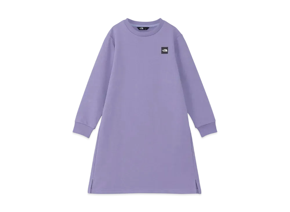 The North Face Kids Girls Small Box Logo One Piece "Purple Fog"