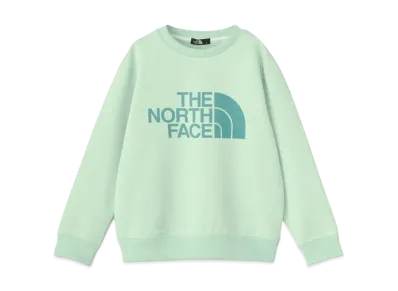 The North Face Kids Colorize Sweat Crew "Pale Green"