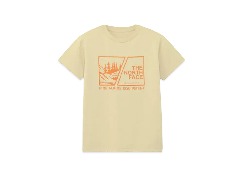 The North Face Kids Short Sleeve Viewpoint Graphic Tee "Gravel"