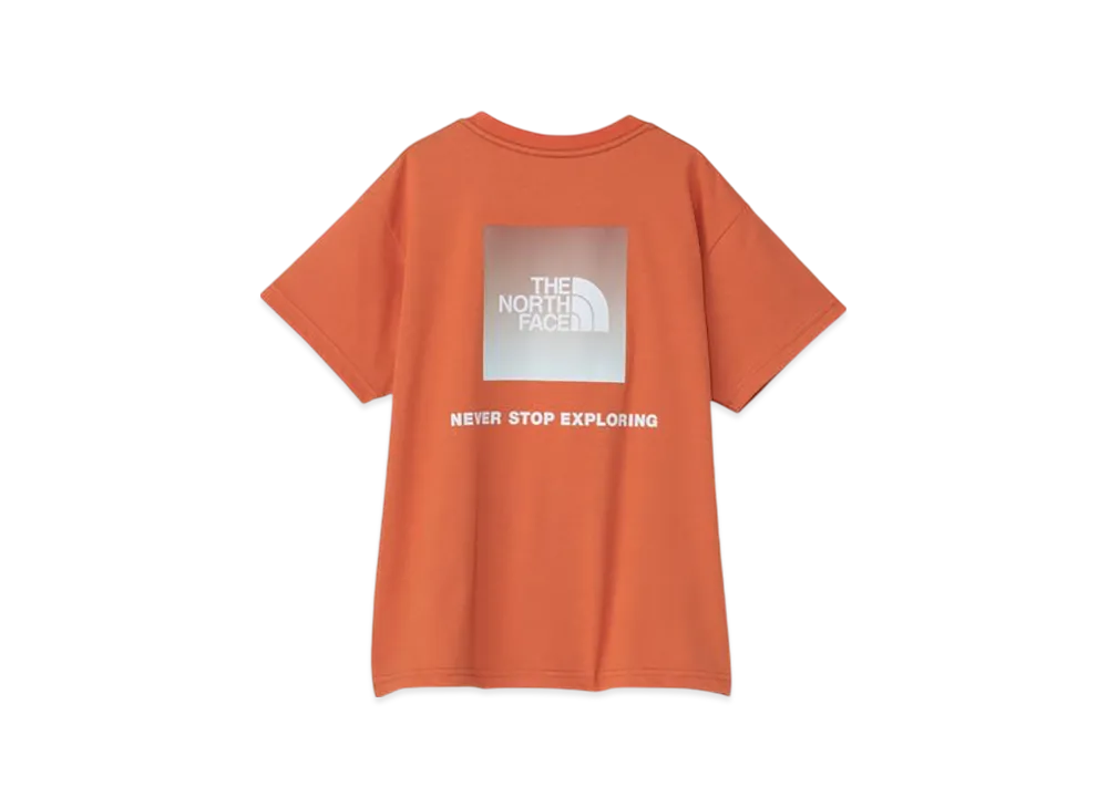 The North Face Kids Short Sleeve Back Gradient Logo Tee "Iron Bronze"