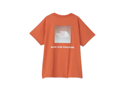 The North Face Kids Short Sleeve Back Gradient Logo Tee "Iron Bronze"