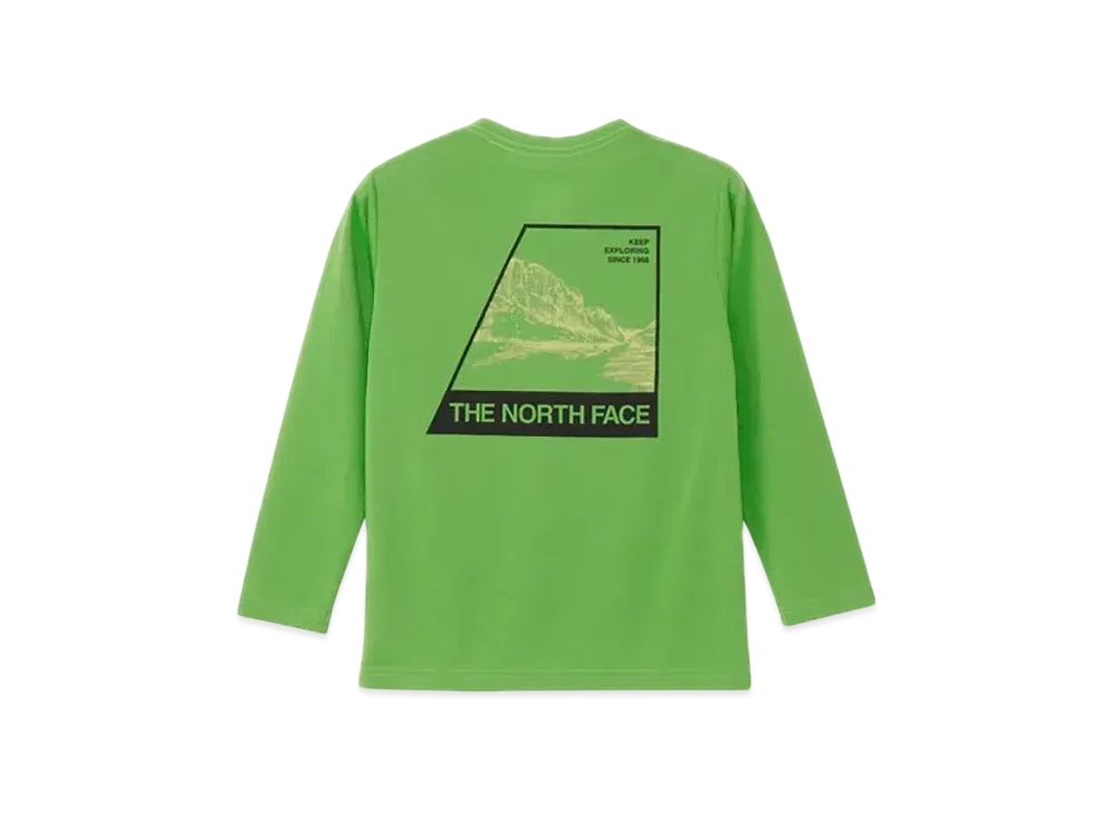 The North Face Kids Long Sleeve TNF Bug Free Graphic Tee "Pine Green"