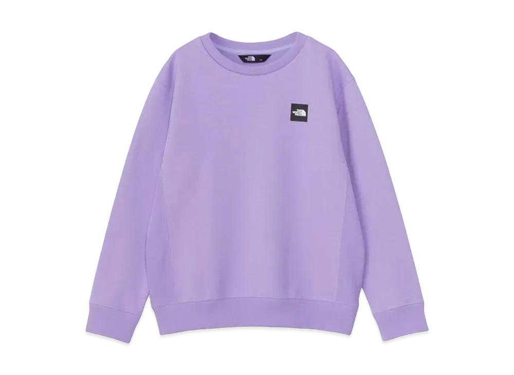The North Face Small Box Logo Crew (Kids) "Purple Fog"