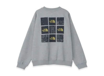 The North Face Graphic Logo Sweat Crew Kids "Light Mixed Grey"