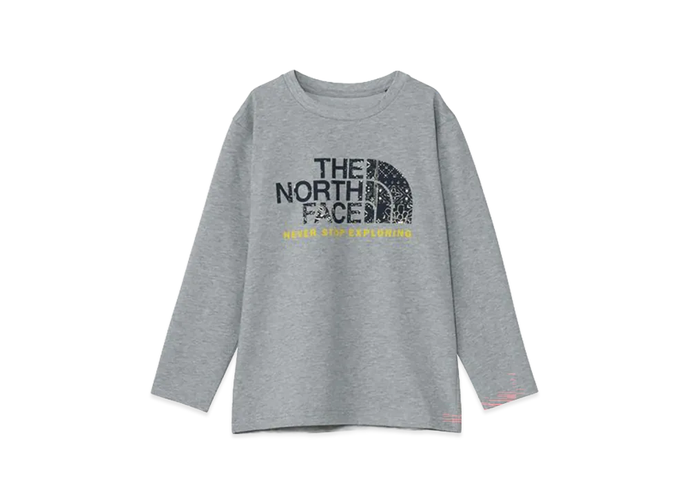 The North Face Long Sleeve Bandana Graphic Logo Tee Kids "Mix Grey"