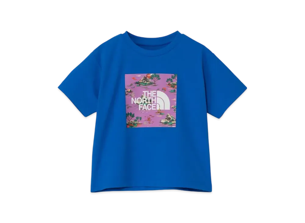 The North Face Kids Toddler Short Sleeve Sunshade Graphic Tee "Hero Blue"