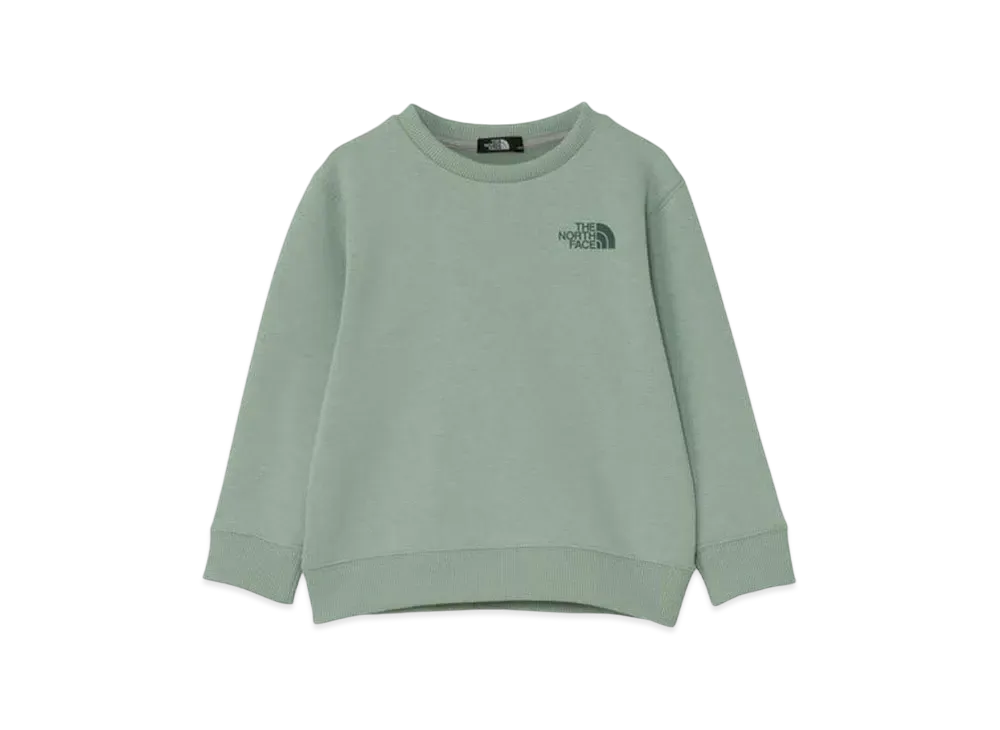 The North Face Kids Toddler Colorized Sweat Crew "Iceberg Green"