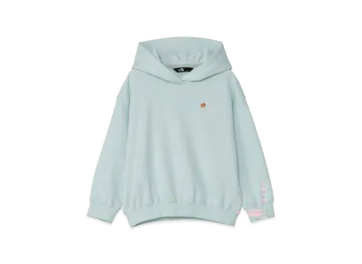 The North Face Toddler Organic Sweat Hoodie Kids "Opal Frost"