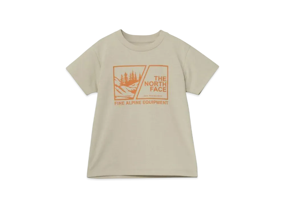 The North Face Kids Toddler Short Sleeve Viewpoint Graphic Tee "Gravel"