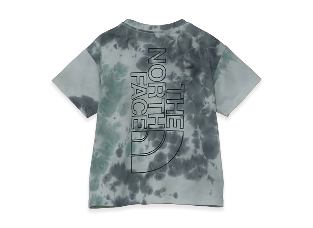 The North Face Kids Toddler Short Sleeve Novelty Big Root Tee "Celestial Grey"