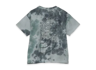 The North Face Kids Toddler Short Sleeve Novelty Big Root Tee "Celestial Grey"