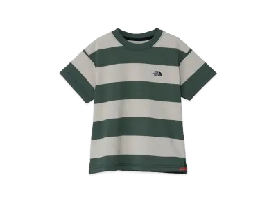 The North Face Toddler Short Sleeve Bright Steady Tee Kids "Desert Stone/Duck Green"