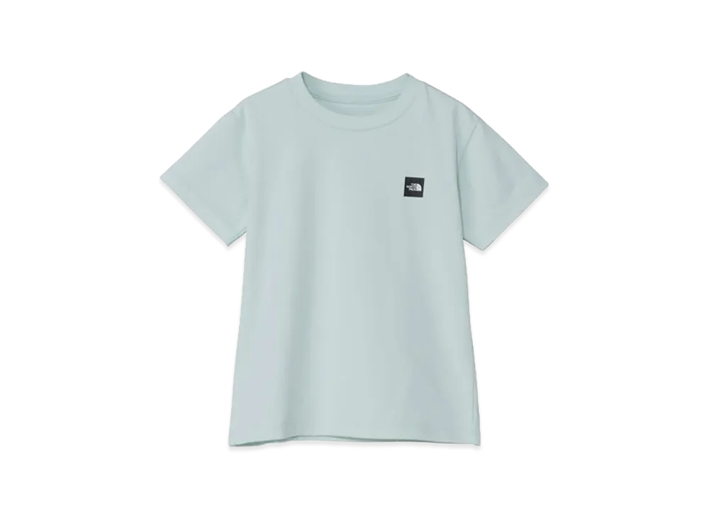 The North Face Toddler Short Sleeve Small Box Logo Tee Kids "Opal Frost"
