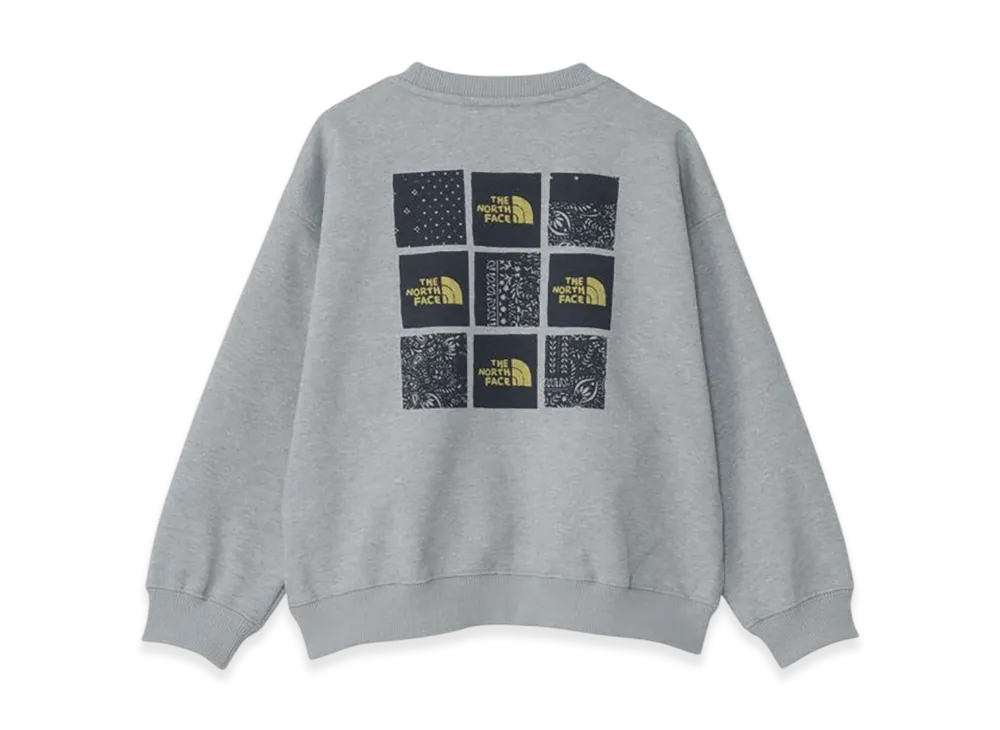 The North Face Graphic Logo Sweat Crew Kids "Light Mixed Grey"