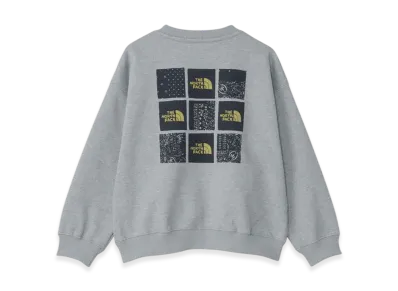 The North Face Graphic Logo Sweat Crew Kids "Light Mixed Grey"