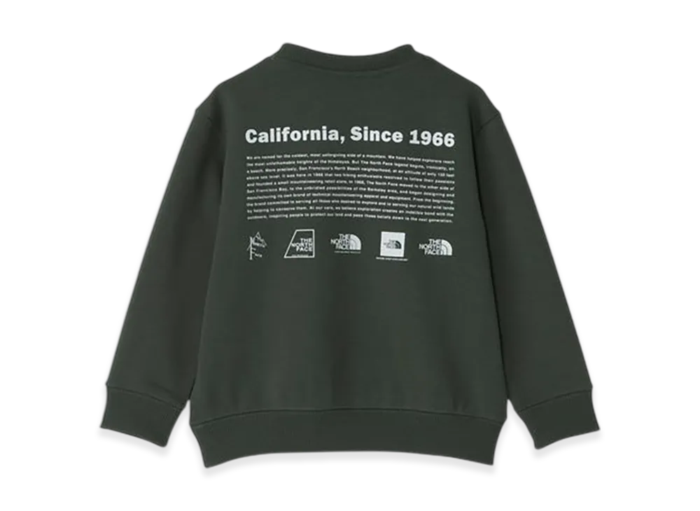 The North Face Toddler Historical Logo Sweat Crew Kids "Alpine"