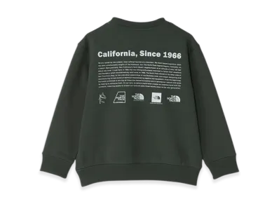 The North Face Toddler Historical Logo Sweat Crew Kids "Alpine"