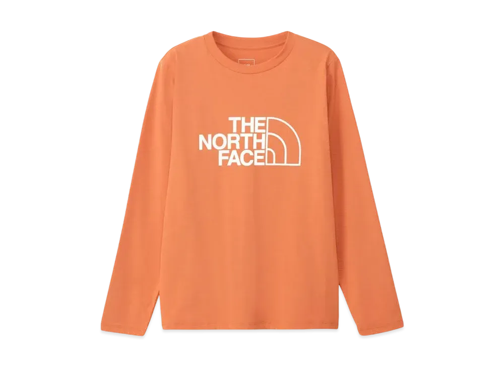 The North Face Long Sleeve ES Big Logo Tee "Faded Iron Bronze"