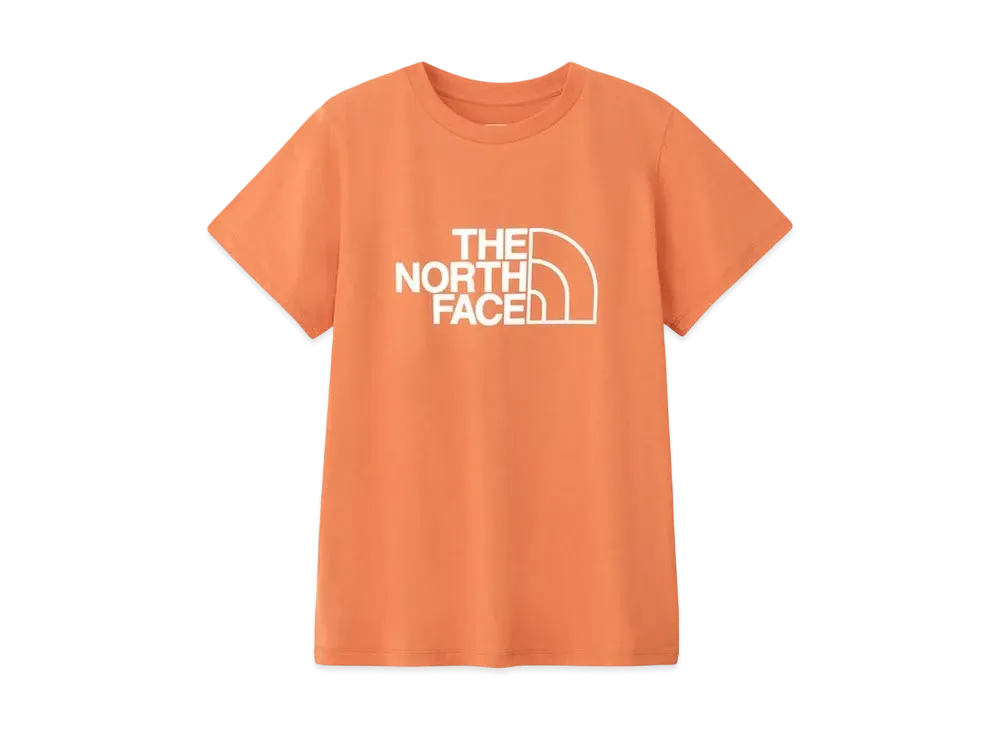 The North Face Short Sleeve ES Big Logo Tee "Faded Iron Bronze"